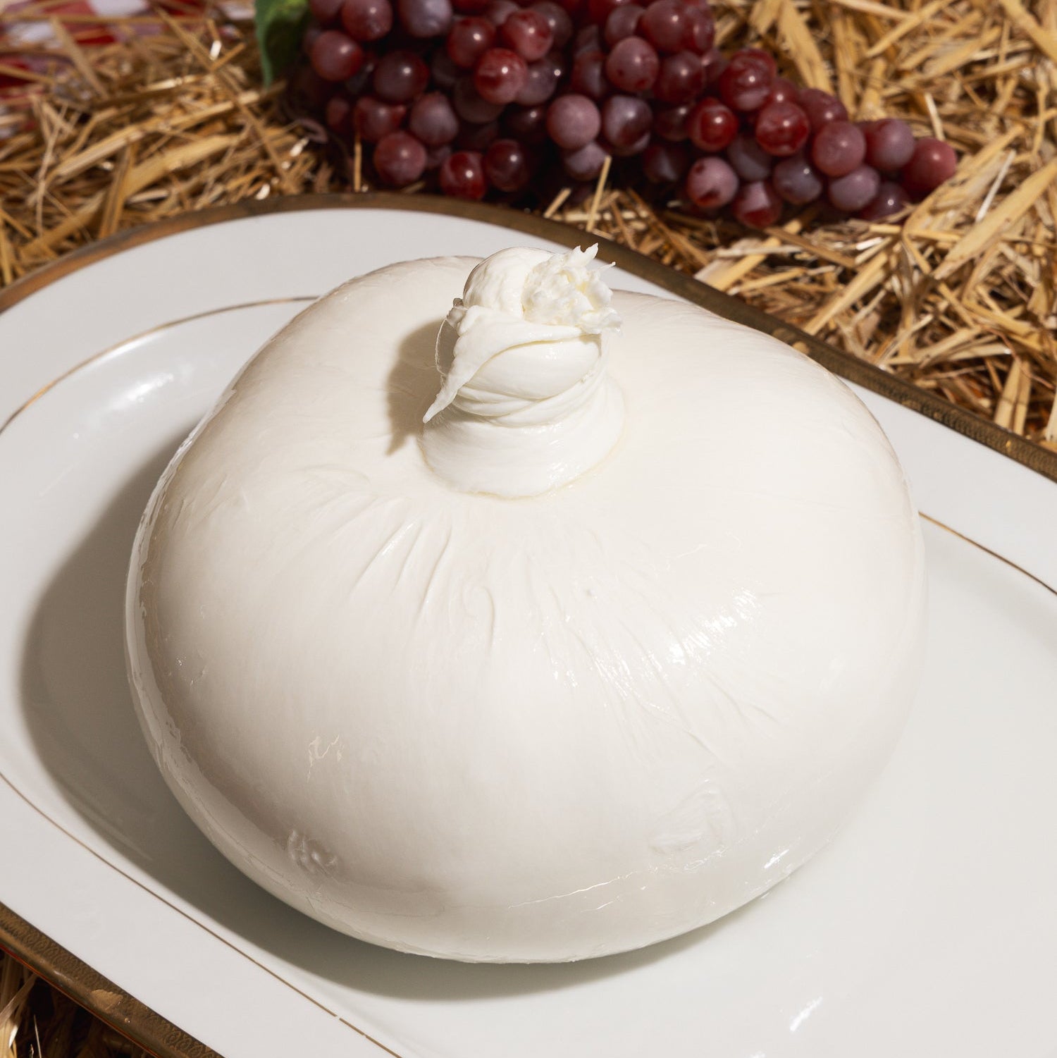 Figliata Cavaliere di latte di bufala